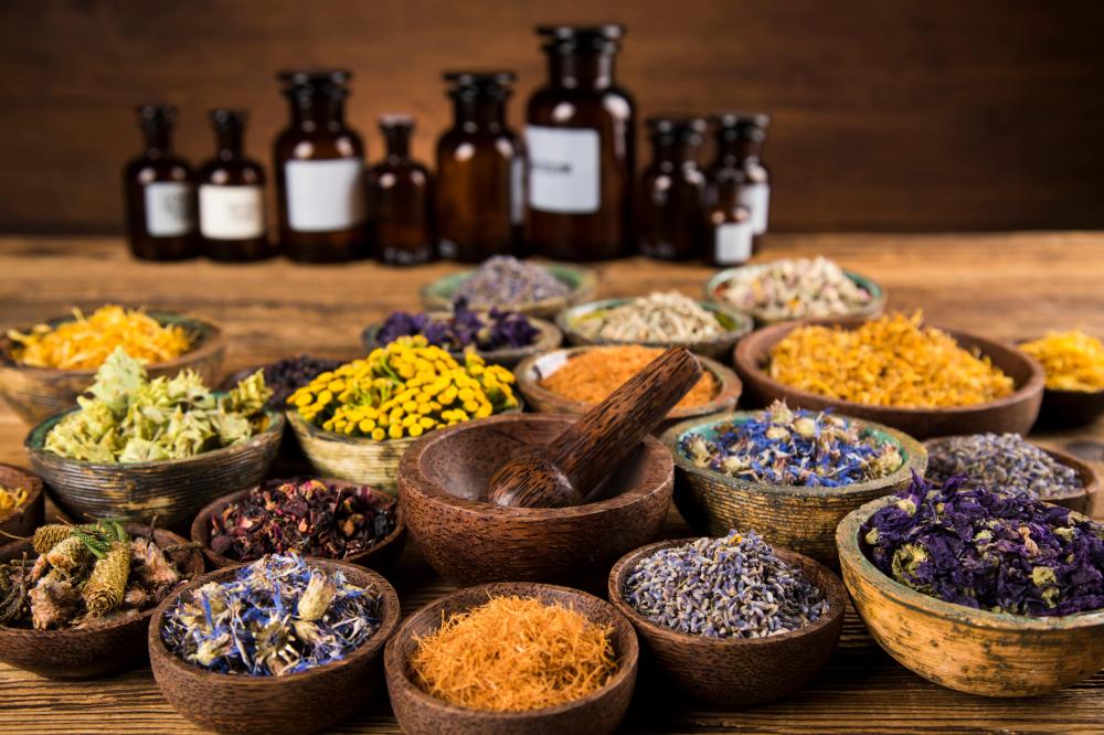 plantes médicinales