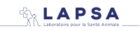 Lapsa